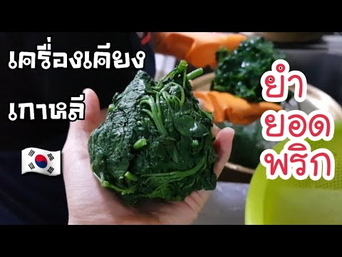 เมนูอาหาร ยำยอดพริก เครื่องเคียงเกาหลี สูตรอาหารเกาหลี