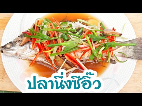 วิธีทำปลานึ่งซีอิ๊ว สูตรอาหารปลากะพงเนื้อนุ่ม เมนูอาหารปลาเพื่อสุขภาพ